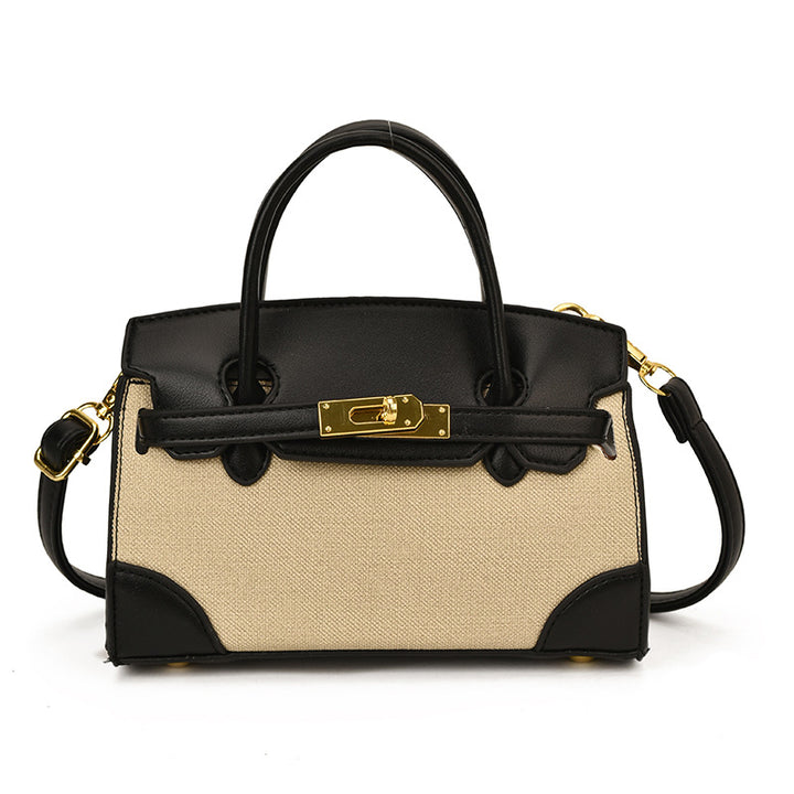 Classic Canvas & Faux Leather Mini handbag