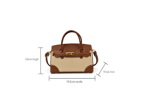 Classic Canvas & Faux Leather Mini handbag