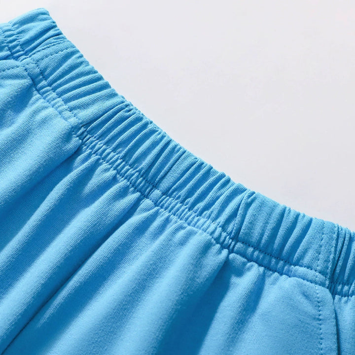 Boys' cotton hippo tee&short set for summer