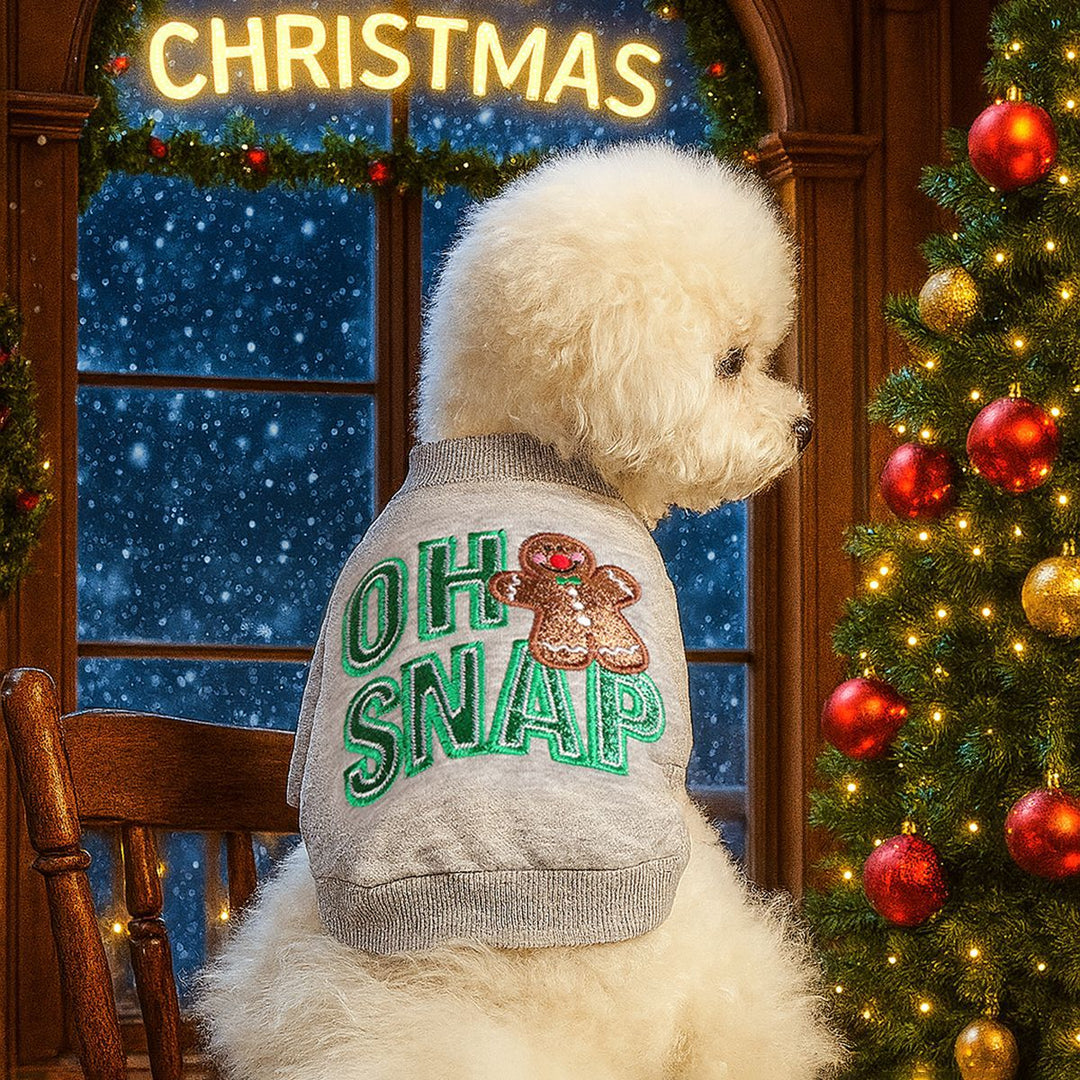 Puppy&cat Christmas costume Christmas pet clothes